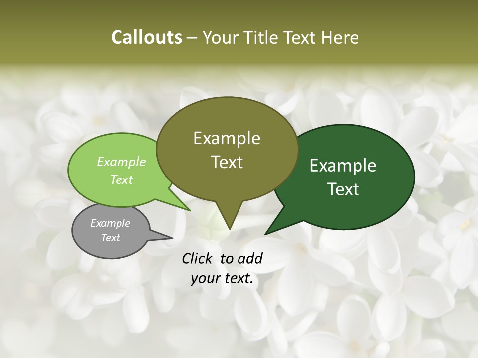 White Lilac PowerPoint Template