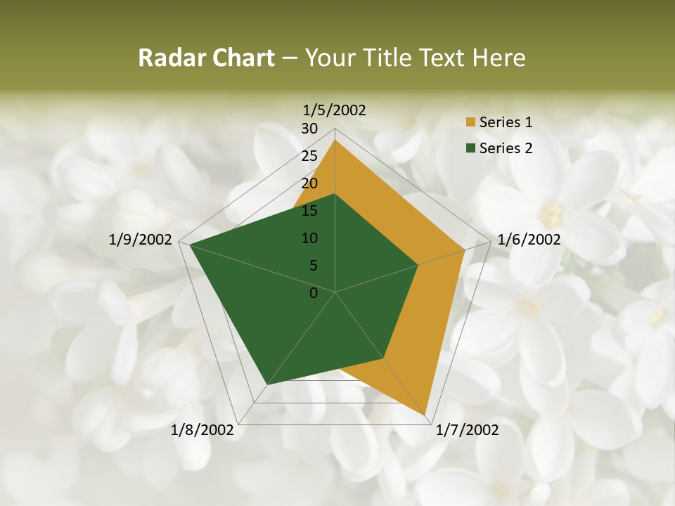 White Lilac PowerPoint Template