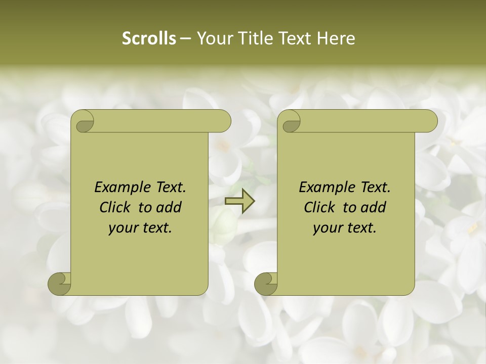 White Lilac PowerPoint Template
