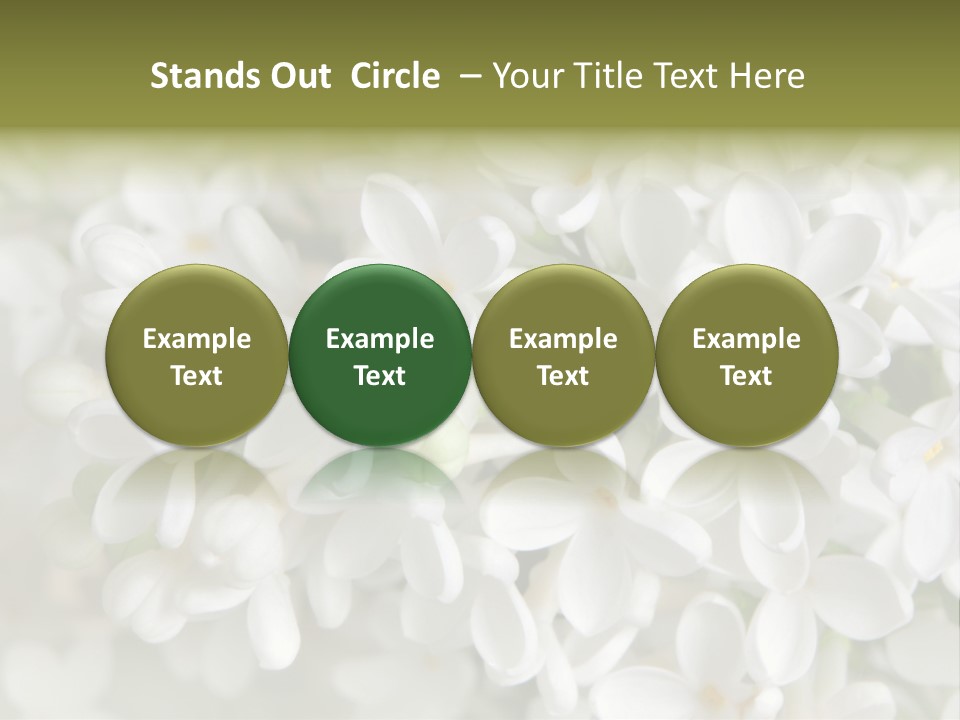 White Lilac PowerPoint Template