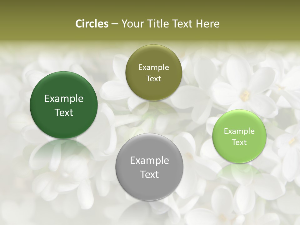 White Lilac PowerPoint Template