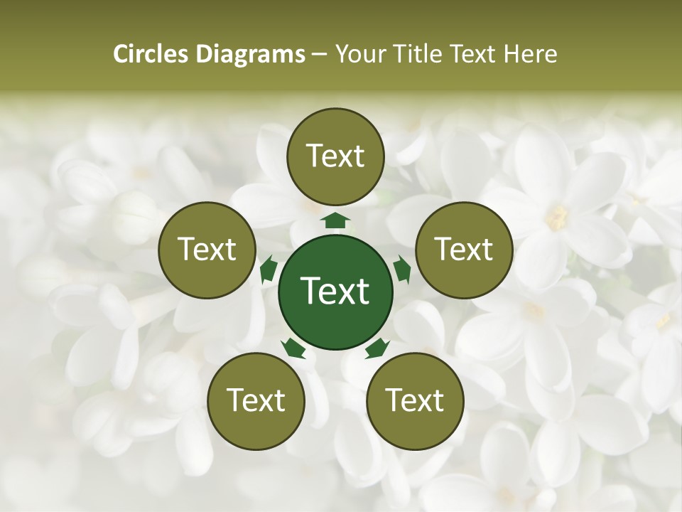 White Lilac PowerPoint Template