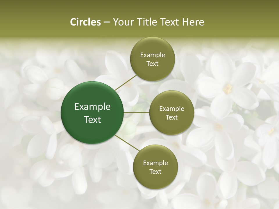White Lilac PowerPoint Template