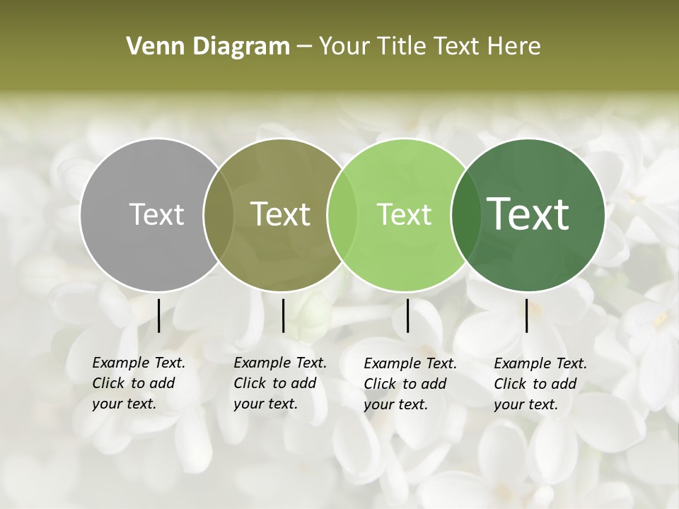White Lilac PowerPoint Template
