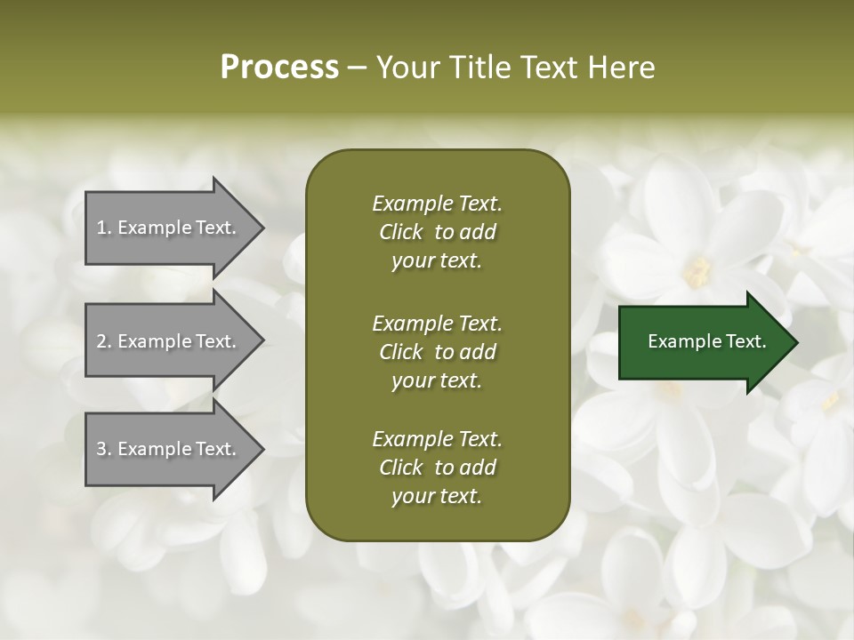 White Lilac PowerPoint Template