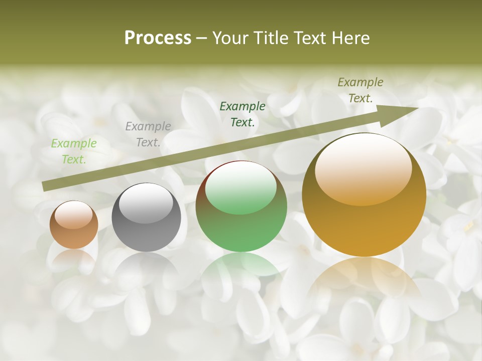 White Lilac PowerPoint Template