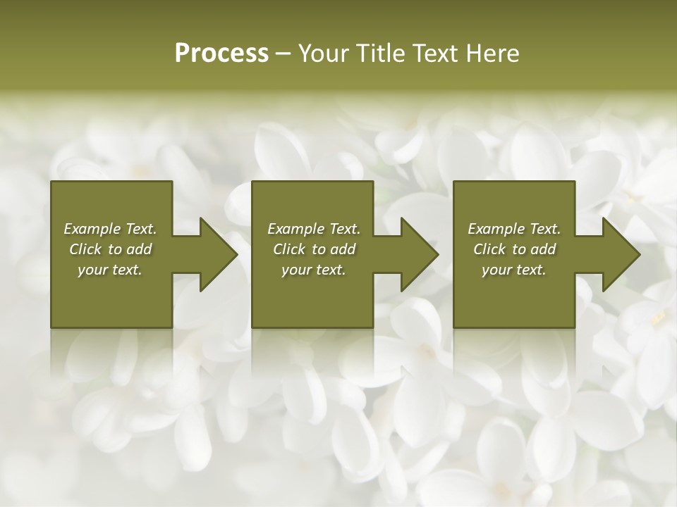 White Lilac PowerPoint Template
