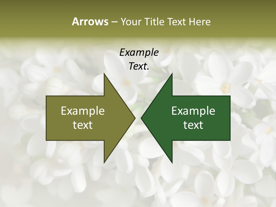 White Lilac PowerPoint Template