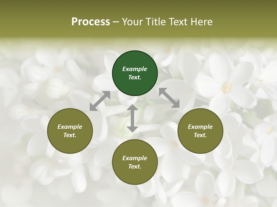 White Lilac PowerPoint Template