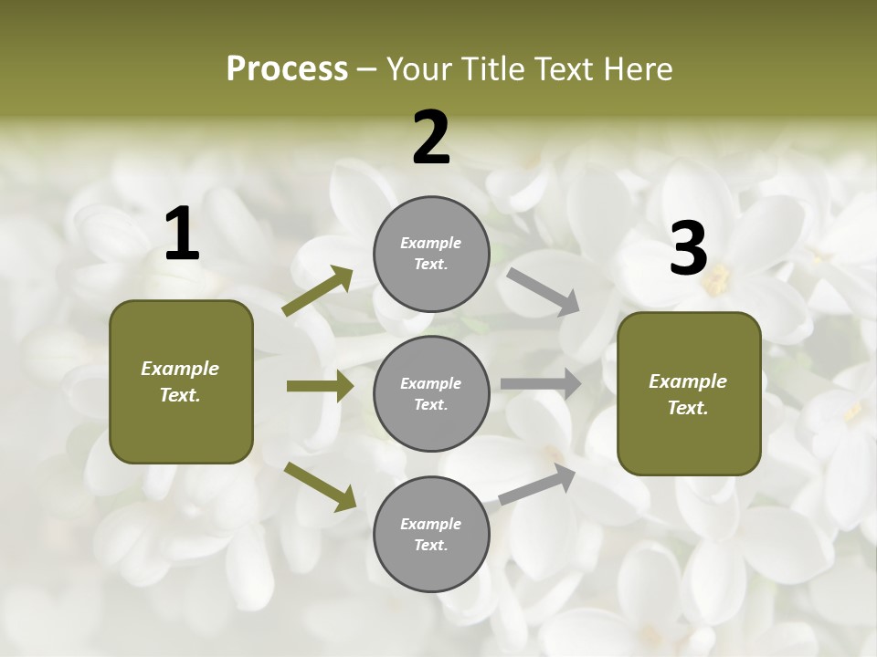 White Lilac PowerPoint Template