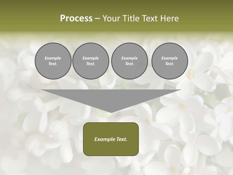 White Lilac PowerPoint Template