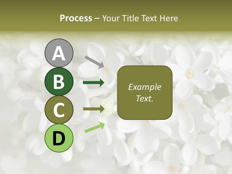 White Lilac PowerPoint Template