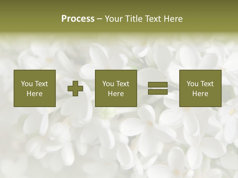 White Lilac PowerPoint Template