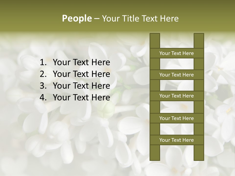 White Lilac PowerPoint Template