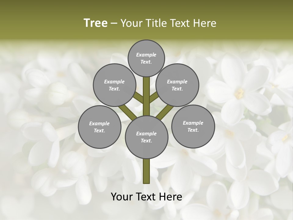 White Lilac PowerPoint Template