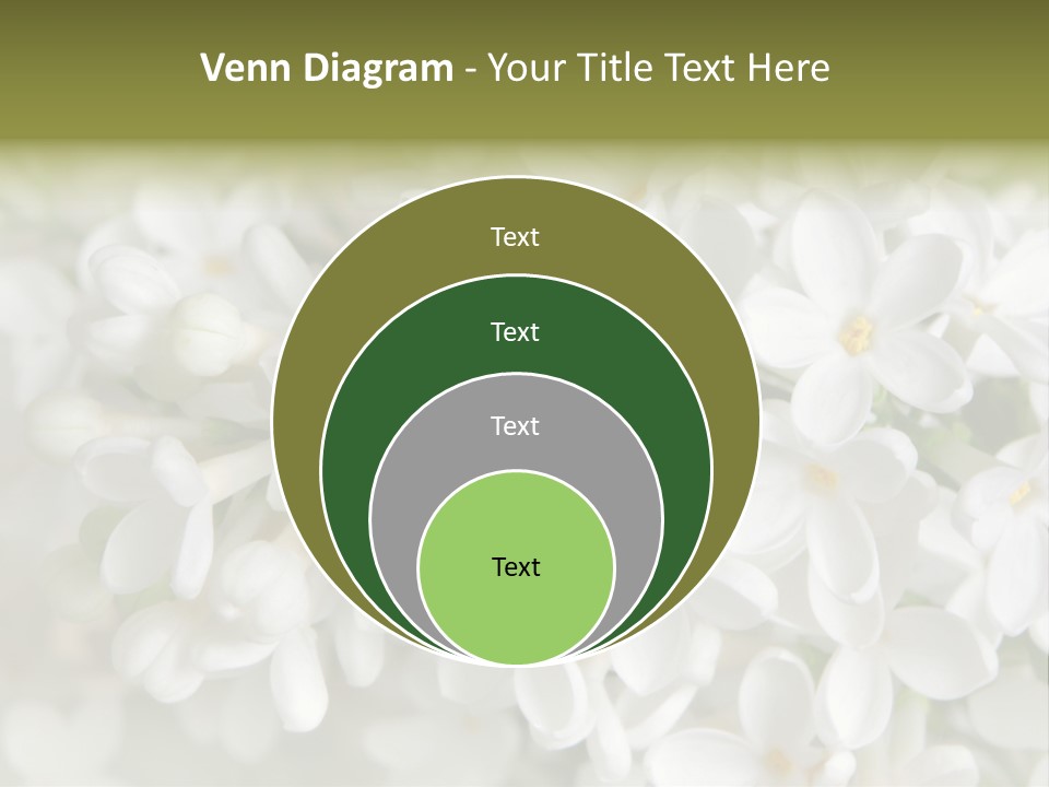 White Lilac PowerPoint Template