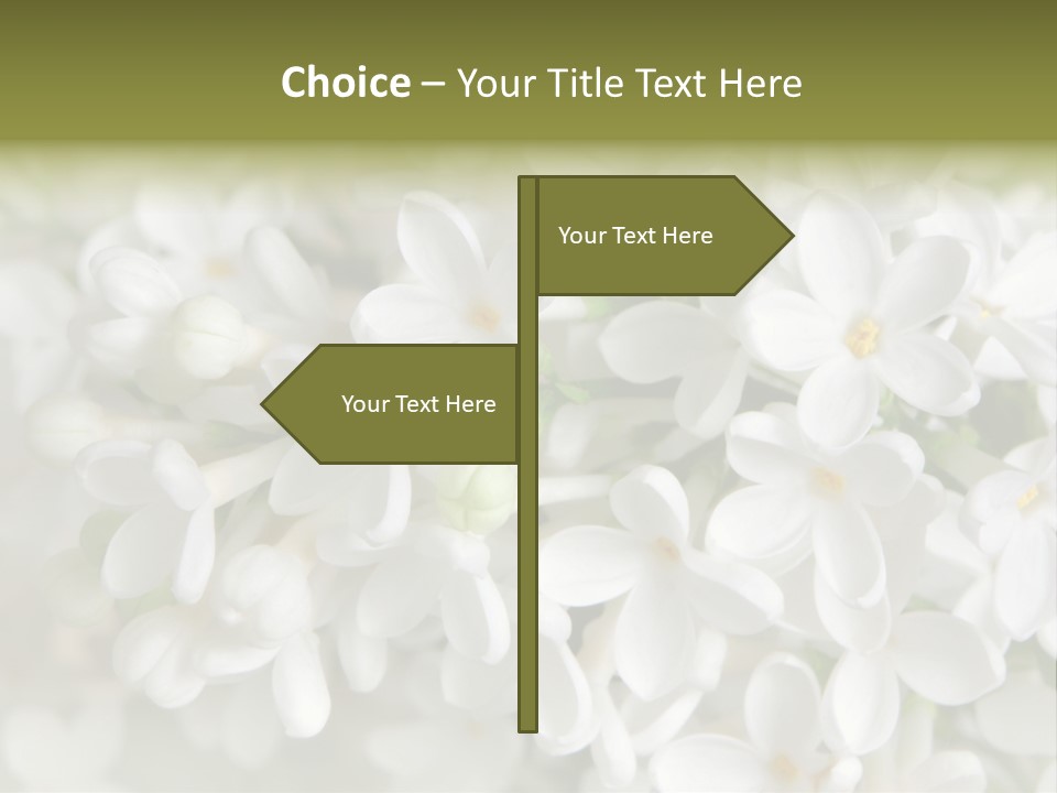 White Lilac PowerPoint Template
