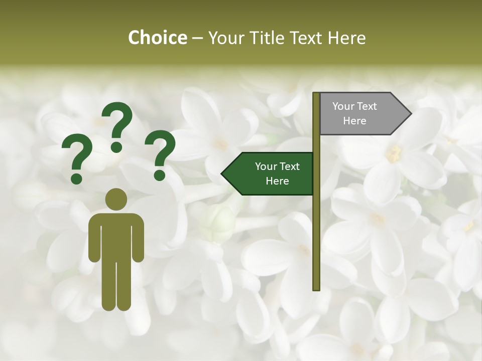White Lilac PowerPoint Template