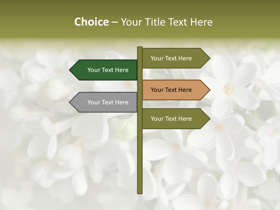 White Lilac PowerPoint Template