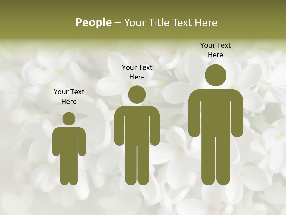 White Lilac PowerPoint Template