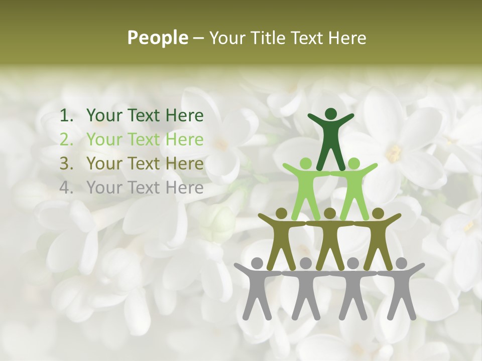 White Lilac PowerPoint Template