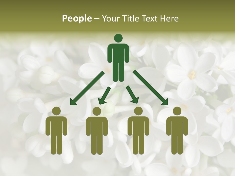 White Lilac PowerPoint Template
