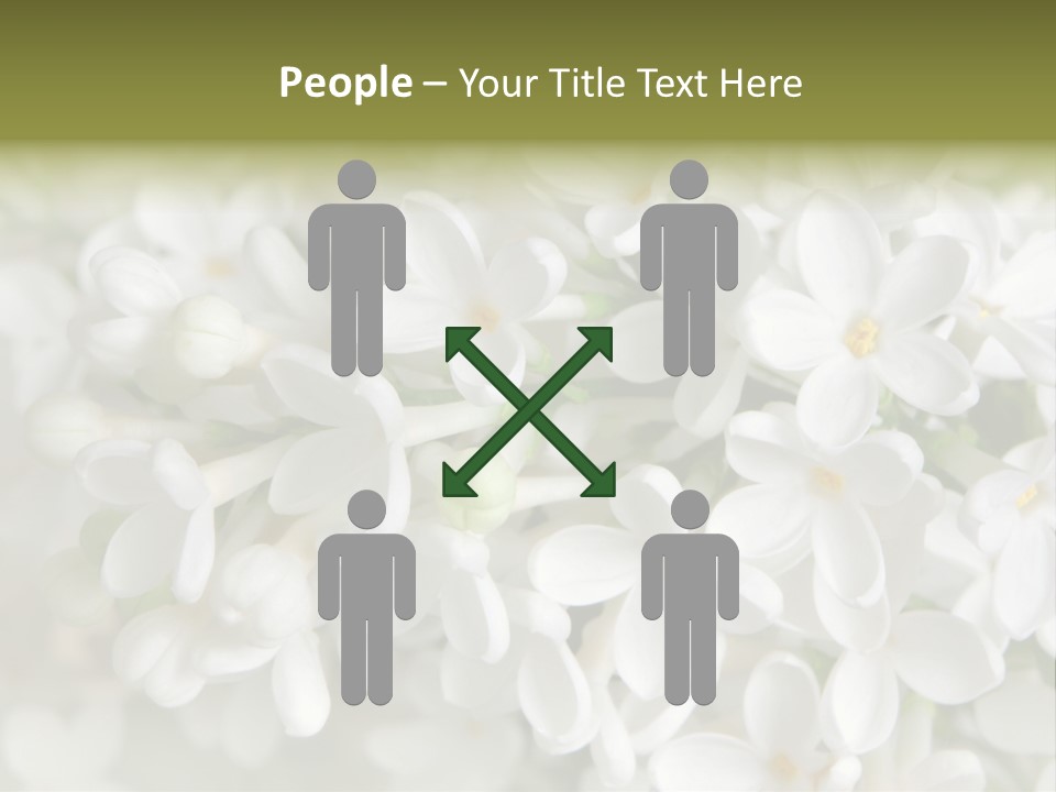 White Lilac PowerPoint Template