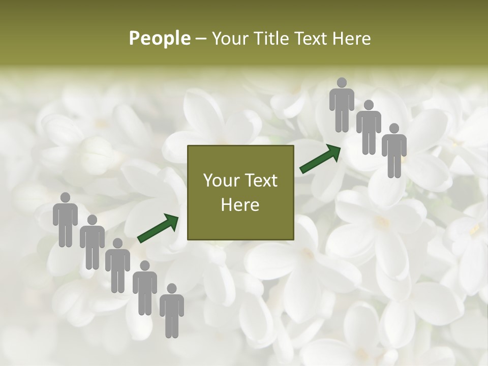 White Lilac PowerPoint Template