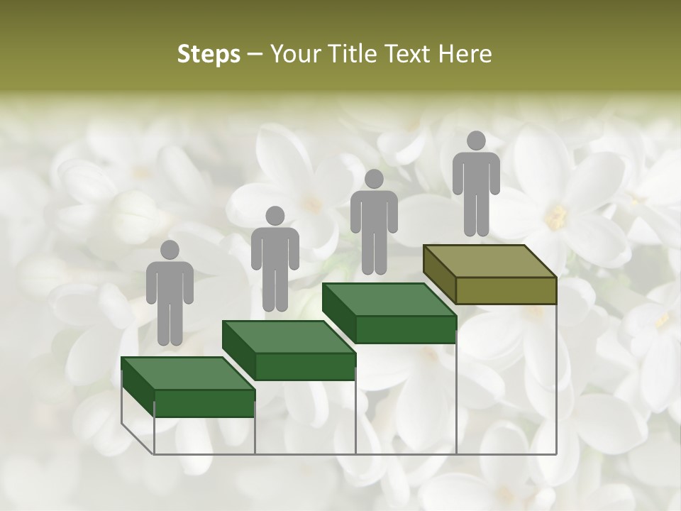 White Lilac PowerPoint Template