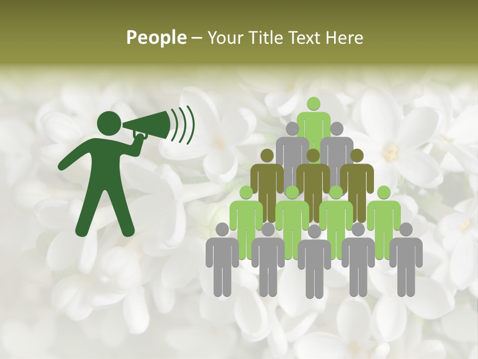 White Lilac PowerPoint Template