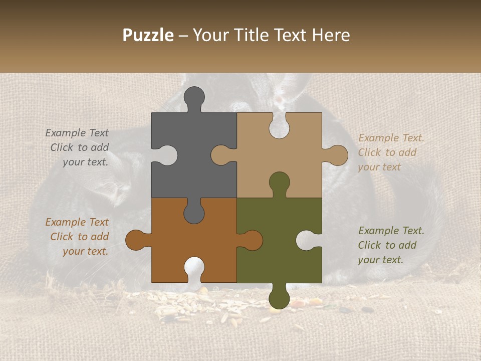 Pair Of Chinchillas PowerPoint Template