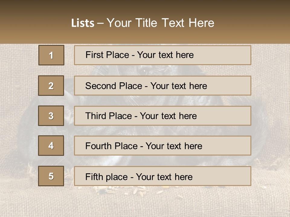 Pair Of Chinchillas PowerPoint Template