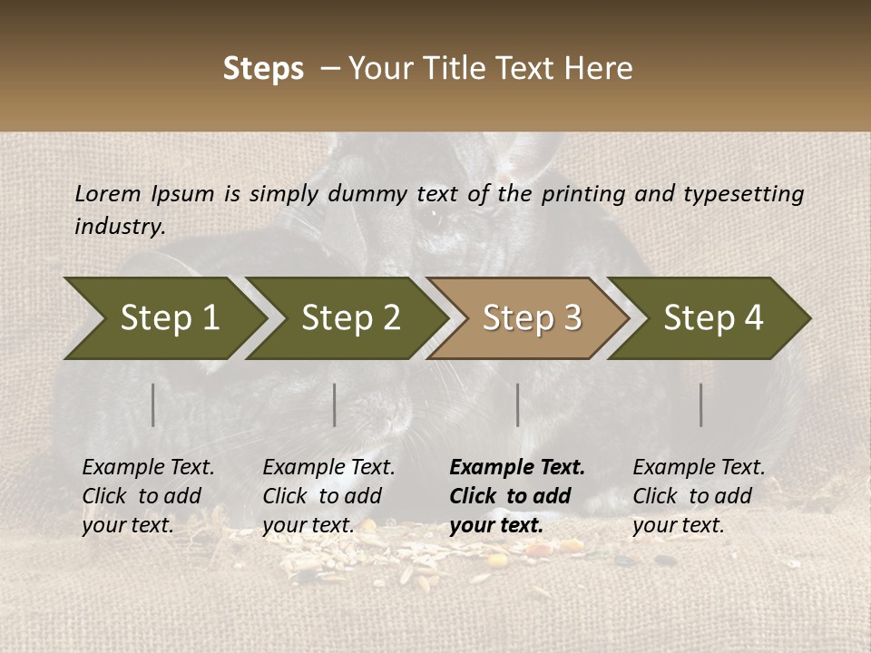 Pair Of Chinchillas PowerPoint Template