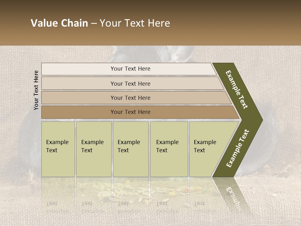 Pair Of Chinchillas PowerPoint Template