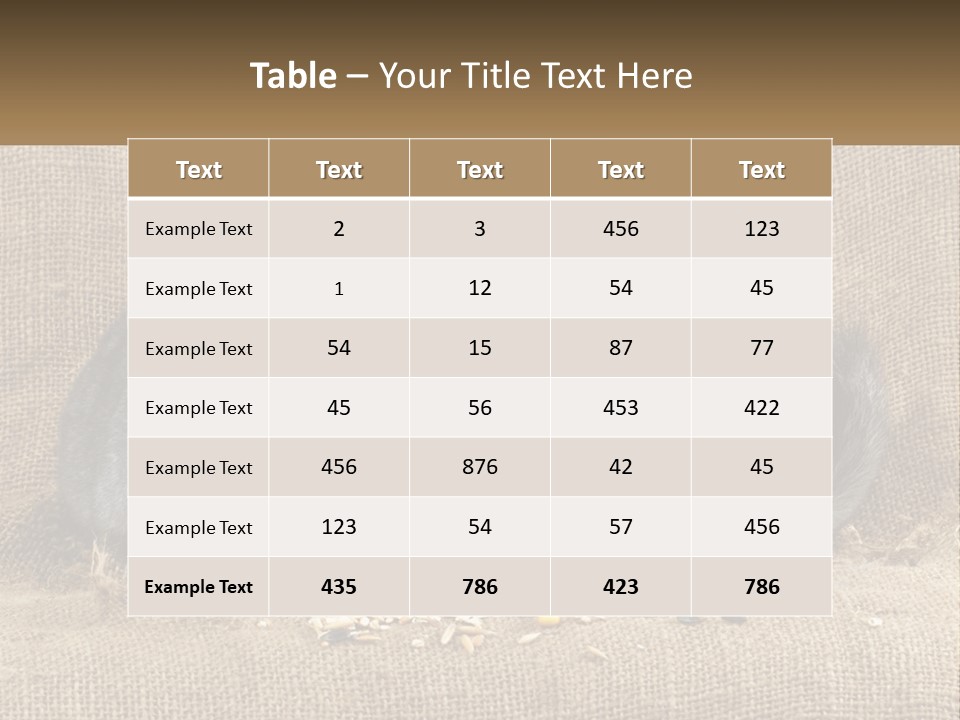 Pair Of Chinchillas PowerPoint Template