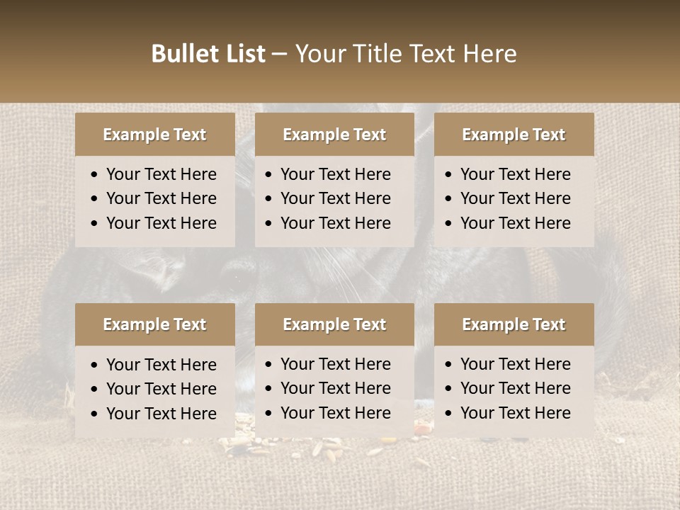 Pair Of Chinchillas PowerPoint Template