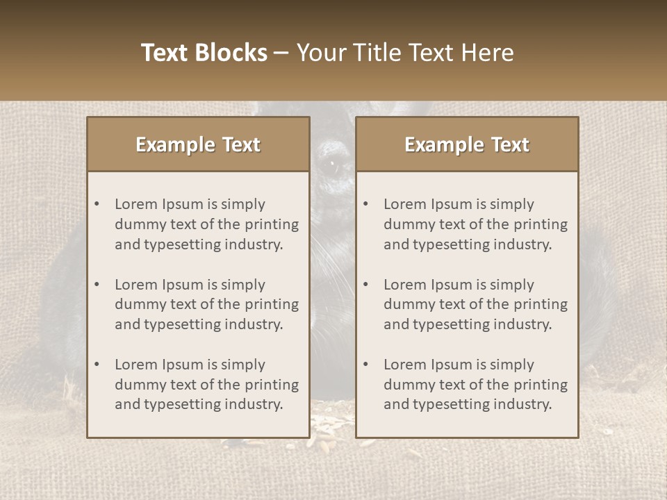 Pair Of Chinchillas PowerPoint Template