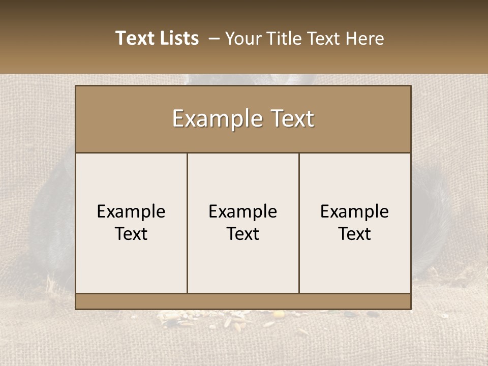 Pair Of Chinchillas PowerPoint Template