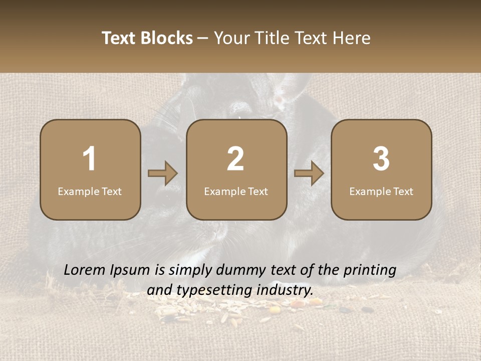 Pair Of Chinchillas PowerPoint Template