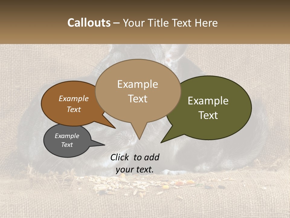 Pair Of Chinchillas PowerPoint Template