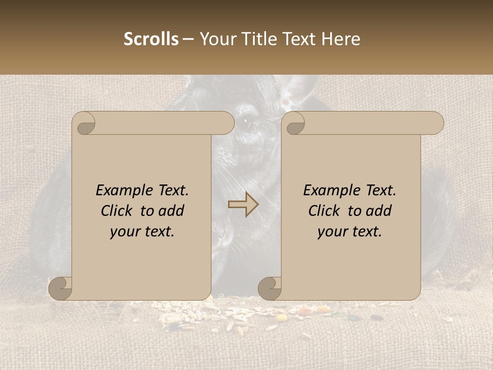 Pair Of Chinchillas PowerPoint Template