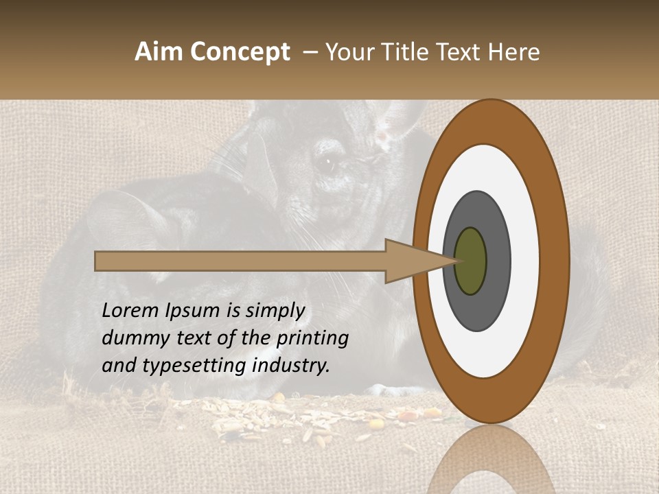 Pair Of Chinchillas PowerPoint Template