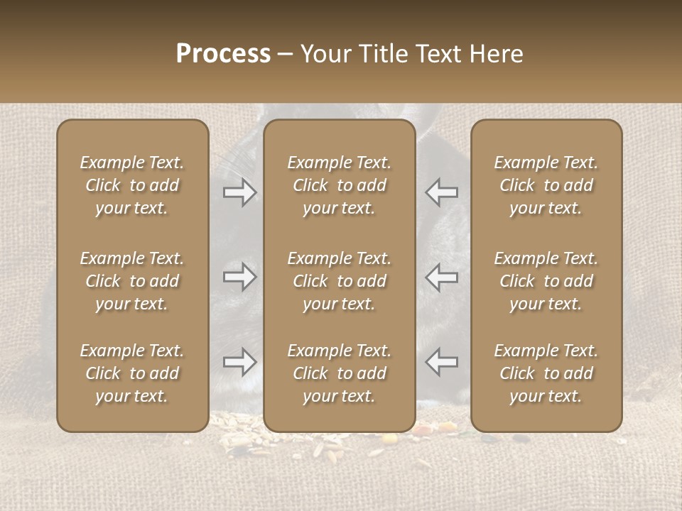 Pair Of Chinchillas PowerPoint Template