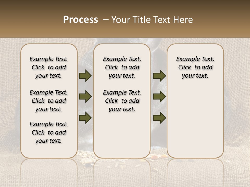 Pair Of Chinchillas PowerPoint Template