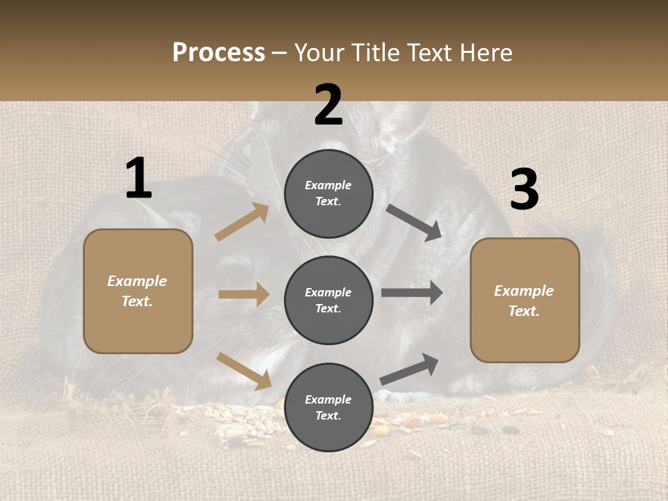 Pair Of Chinchillas PowerPoint Template