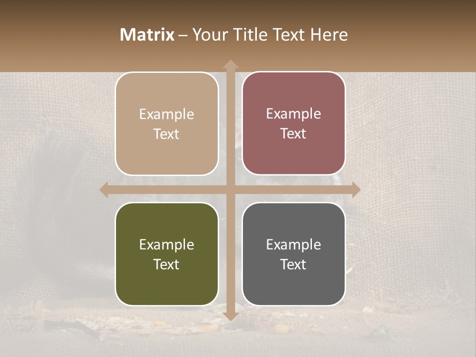 Chinchilla Eats PowerPoint Template