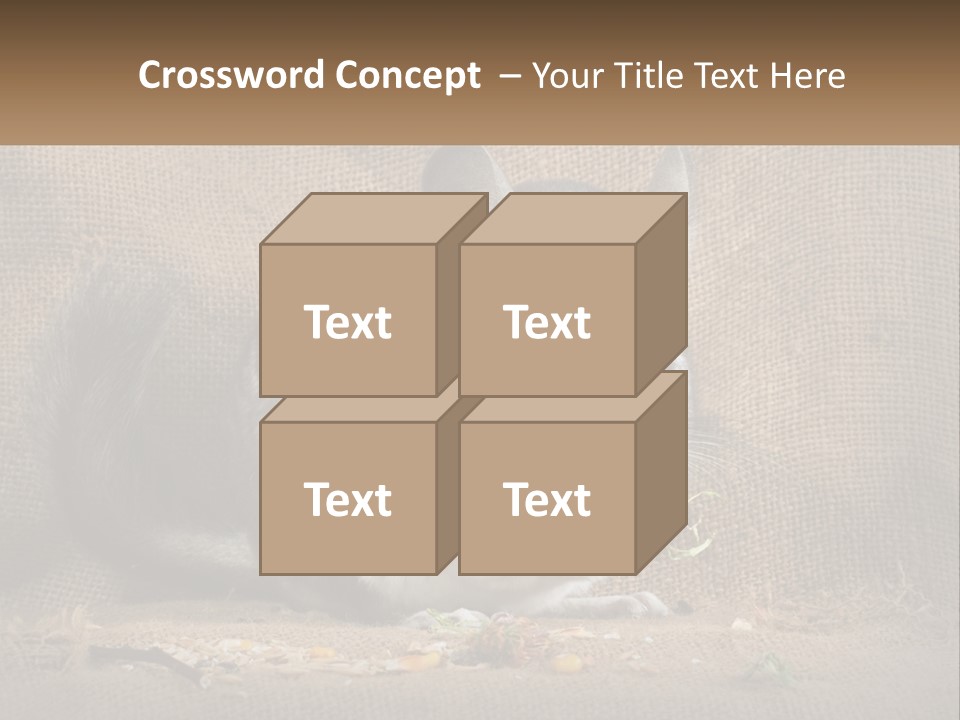 Chinchilla Eats PowerPoint Template