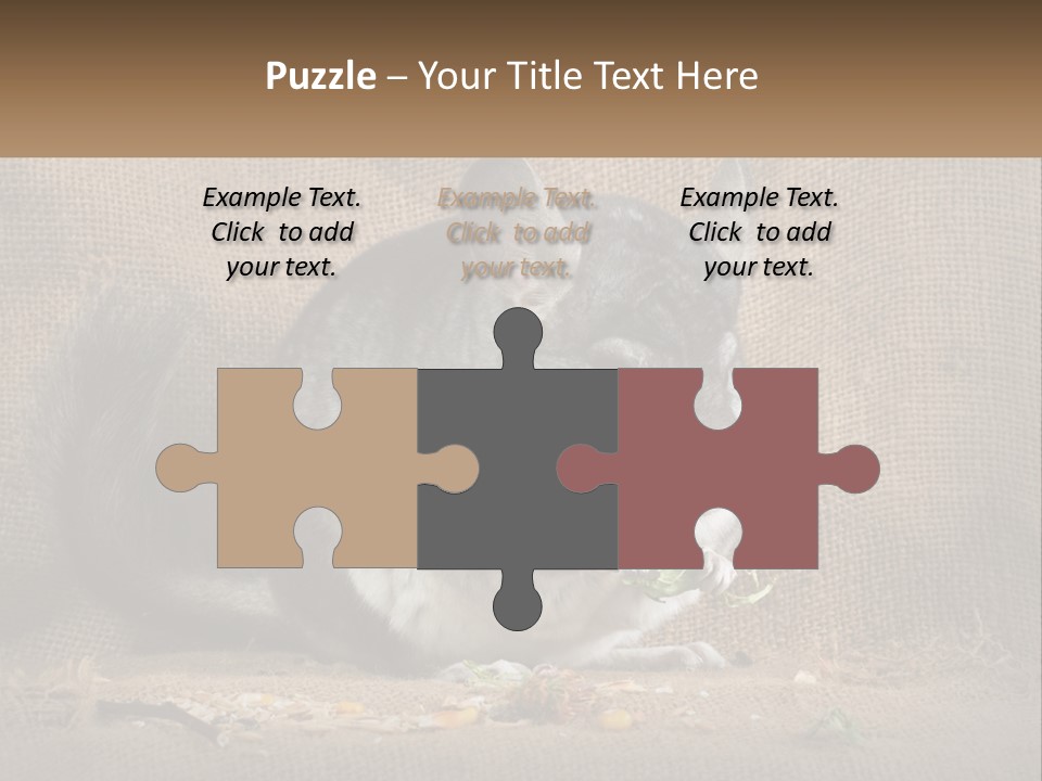 Chinchilla Eats PowerPoint Template