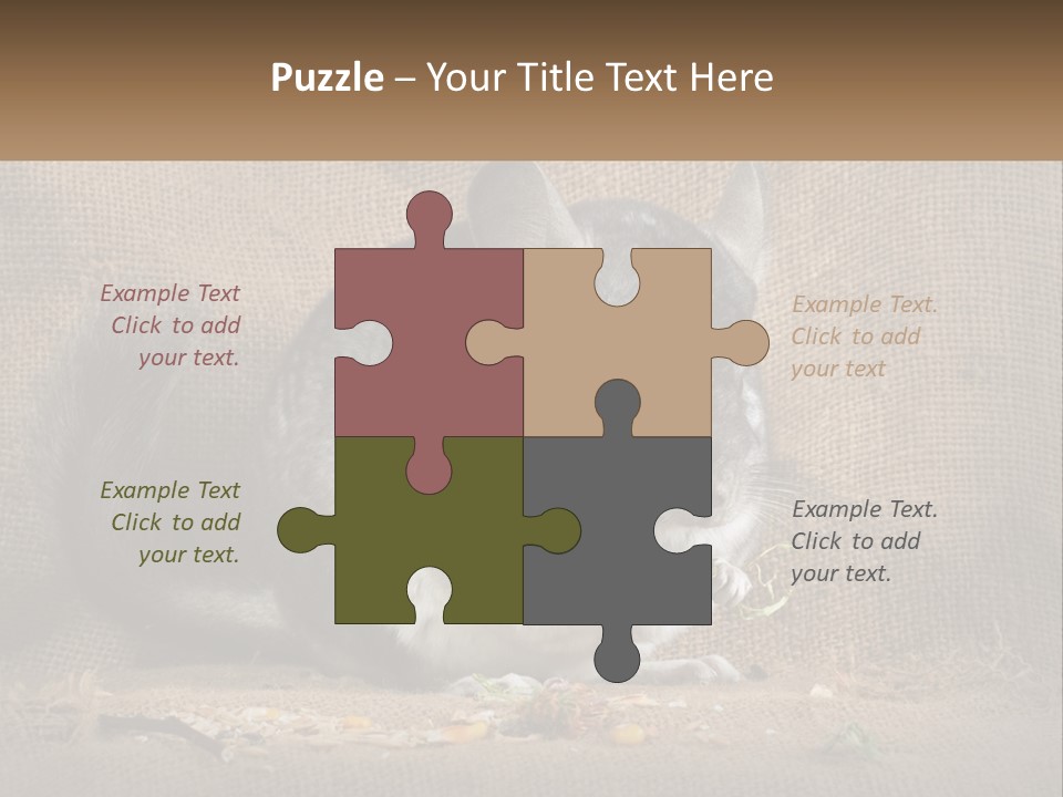 Chinchilla Eats PowerPoint Template