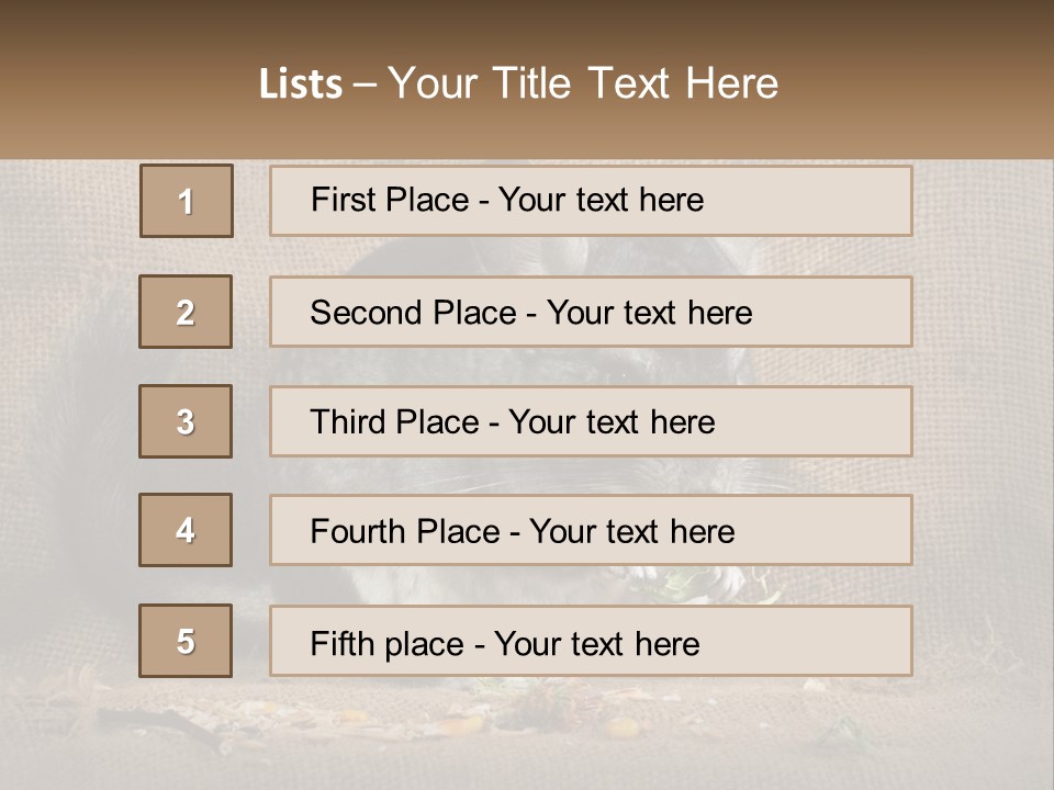 Chinchilla Eats PowerPoint Template